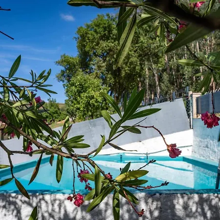 Casa Fontes - Jaccuzzi And Pool 乡村民宿 *